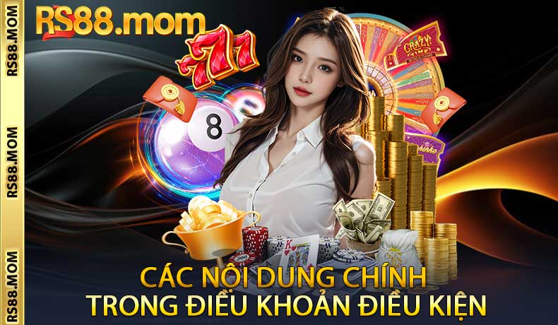 Các nội dung chính trong điều khoản điều kiện